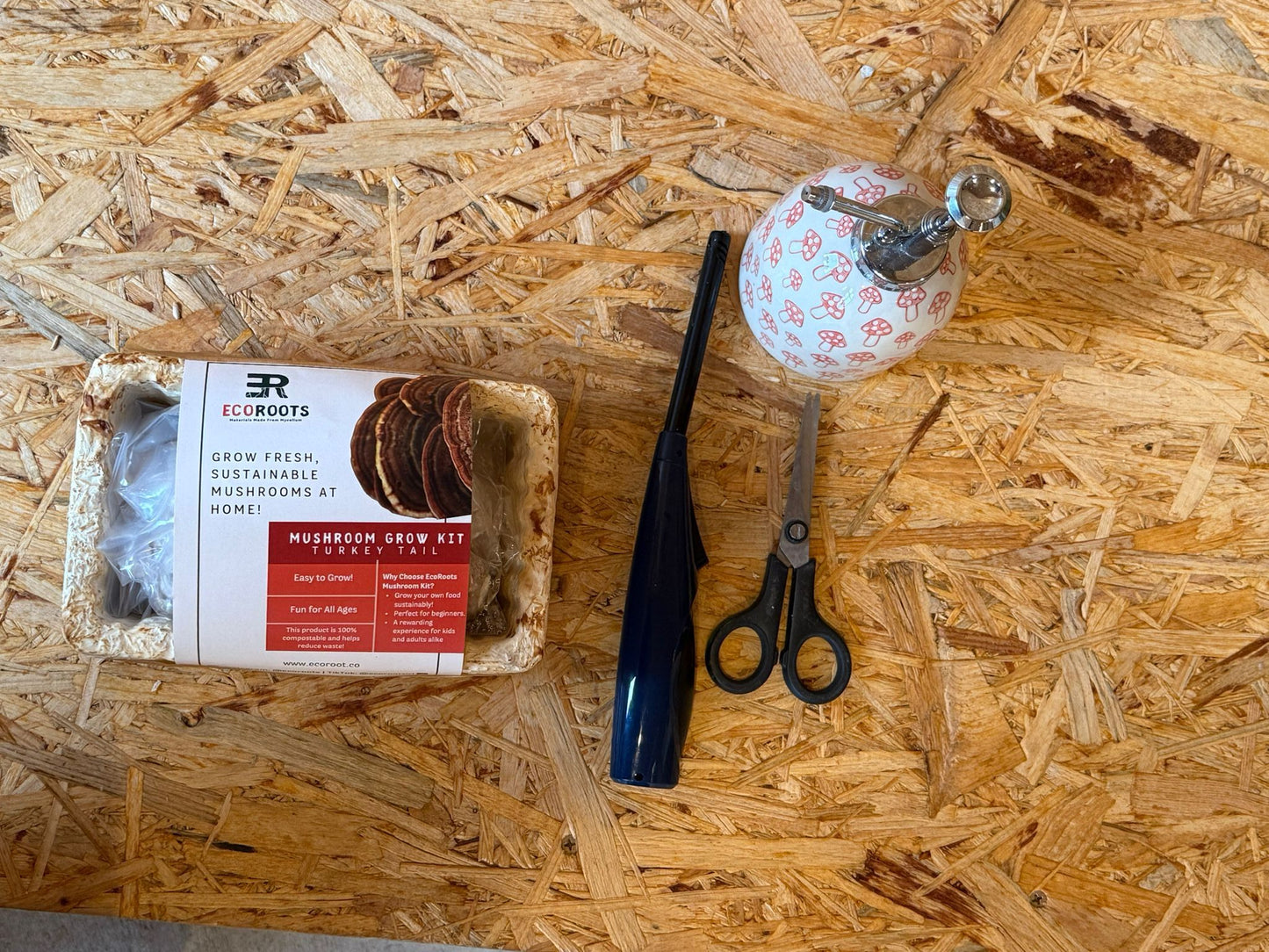 Turkey Tail - Mushroom Grow Kits