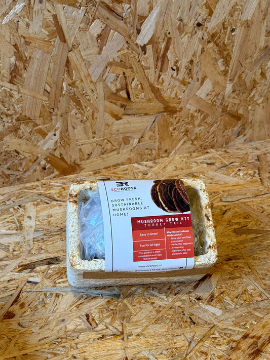 Turkey Tail - Mushroom Grow Kits